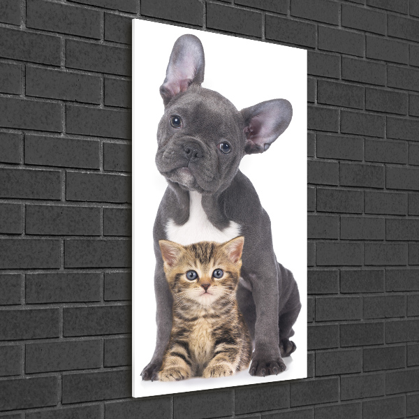 Glasbild vertikales Hund und Katze