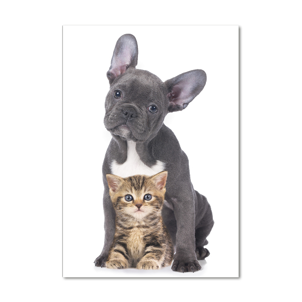 Glasbild vertikales Hund und Katze