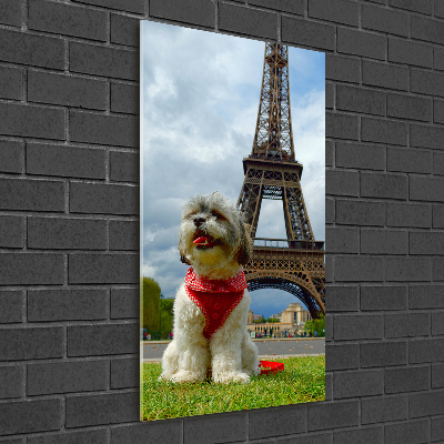Foto auf glas vertikales Ein Hund in Paris