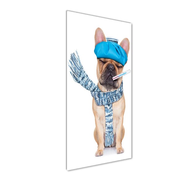 Foto auf glas vertikales Kranker Hund