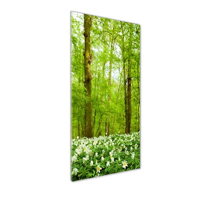 Bild aus glas vertikales Blumen im Wald
