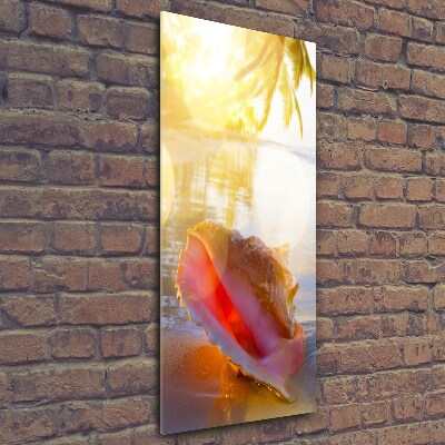Foto auf glas vertikales Eine Muschel am Strand