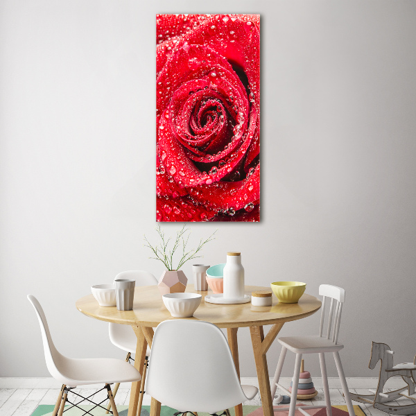 Glasbild vertikales Rote Rose
