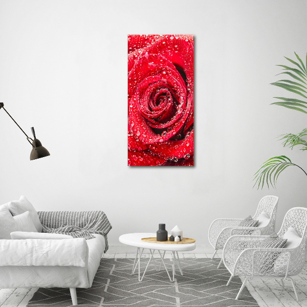 Glasbild vertikales Rote Rose