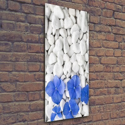 Bild aus glas vertikales Hortensiensteine