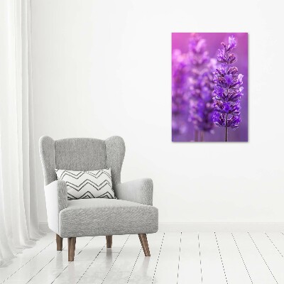 Glasbild vertikales Lavendelfeld