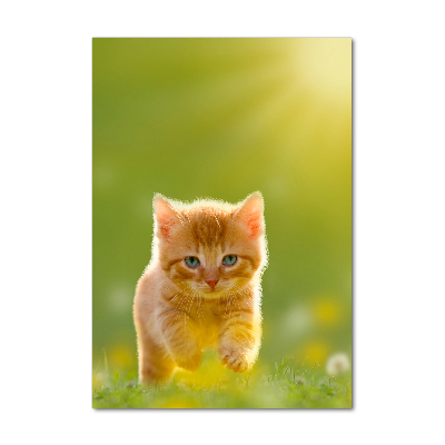 Foto auf glas vertikales Ingwerkatze