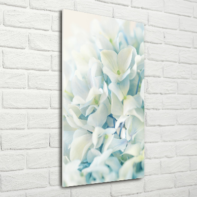 Foto auf glas vertikales Hortensienblüte