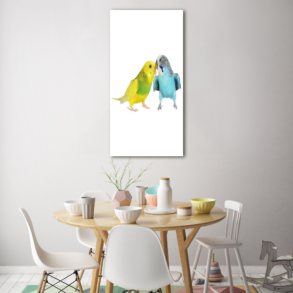 Bild aus glas vertikales Wellensittiche