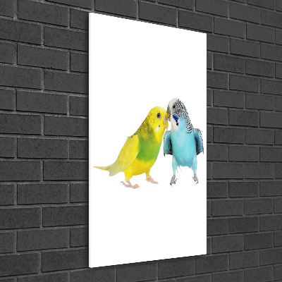 Bild aus glas vertikales Wellensittiche