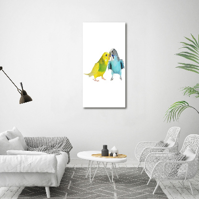 Bild aus glas vertikales Wellensittiche