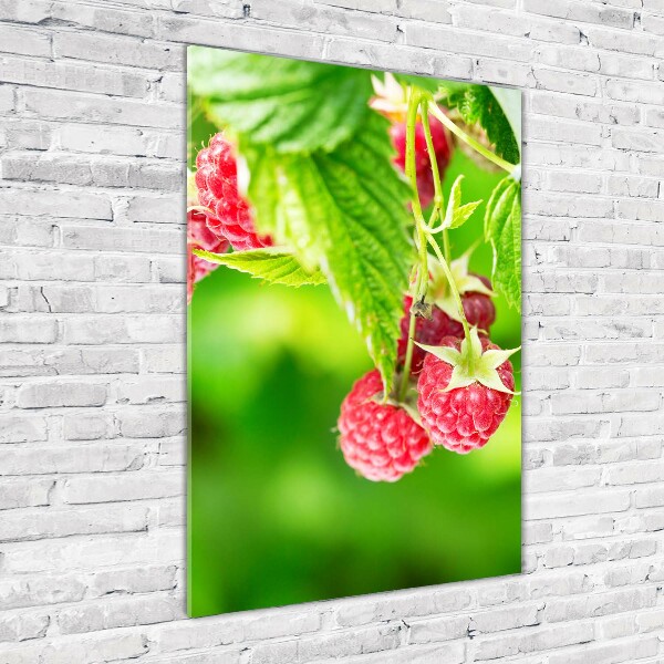 Bild aus glas vertikales Himbeeren am Strauch