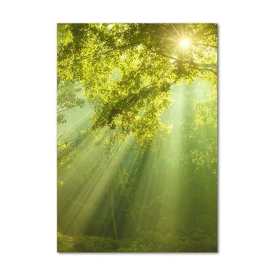Glasbild vertikales Die Sonne im Wald