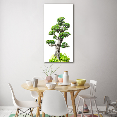 Foto auf glas vertikales Bonsai-Baum