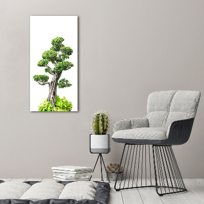 Foto auf glas vertikales Bonsai-Baum