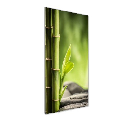 Glasbild vertikales Bambus