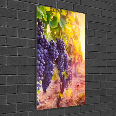 Foto auf glas vertikales Weinberg