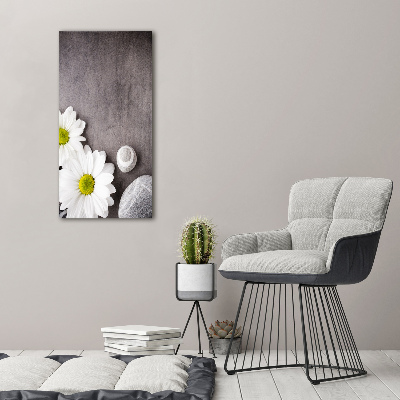 Foto auf glas vertikales Gerbera