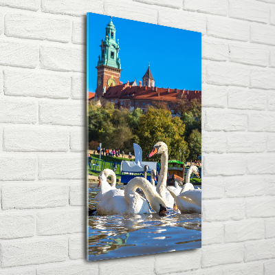 Glasbild vertikales Krakau, Polen