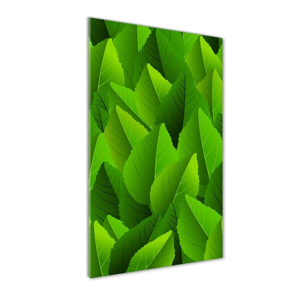 Foto auf glas vertikales Grüne Blätter