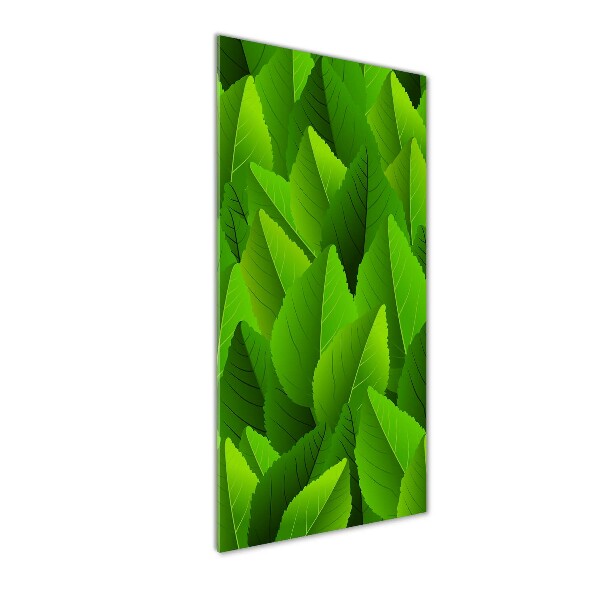 Foto auf glas vertikales Grüne Blätter
