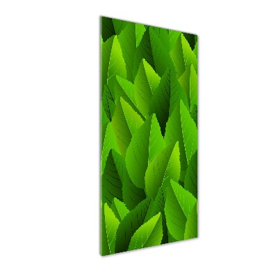 Foto auf glas vertikales Grüne Blätter