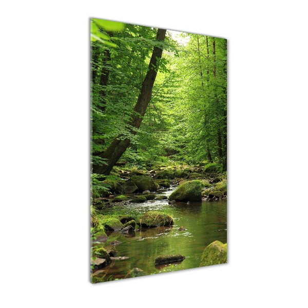 Glasbild vertikales Fluss im Wald