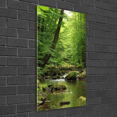 Glasbild vertikales Fluss im Wald