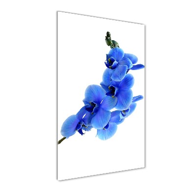 Foto auf glas vertikales Blaue Orchidee