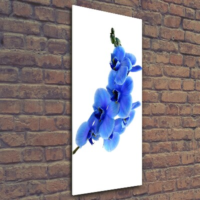Foto auf glas vertikales Blaue Orchidee
