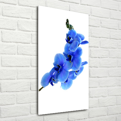 Foto auf glas vertikales Blaue Orchidee