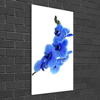Foto auf glas vertikales Blaue Orchidee