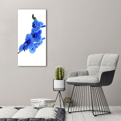 Foto auf glas vertikales Blaue Orchidee