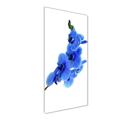 Foto auf glas vertikales Blaue Orchidee