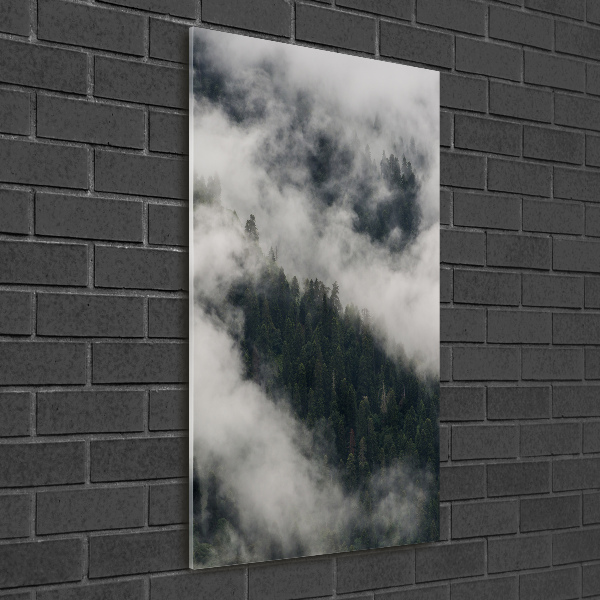Glasbild vertikales Eine Wolke über dem Wald