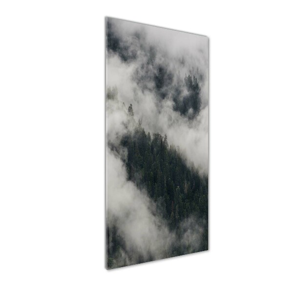 Glasbild vertikales Eine Wolke über dem Wald