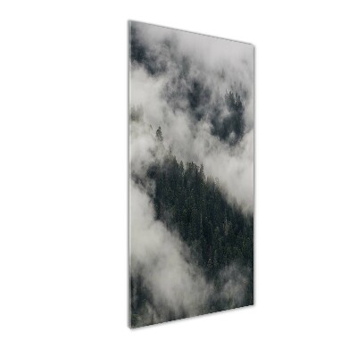 Glasbild vertikales Eine Wolke über dem Wald