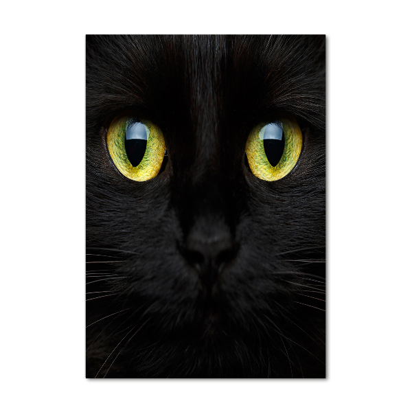 Bild aus glas vertikales Katzenaugen