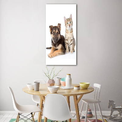 Foto auf glas vertikales Hund und Katze