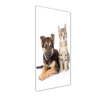Foto auf glas vertikales Hund und Katze