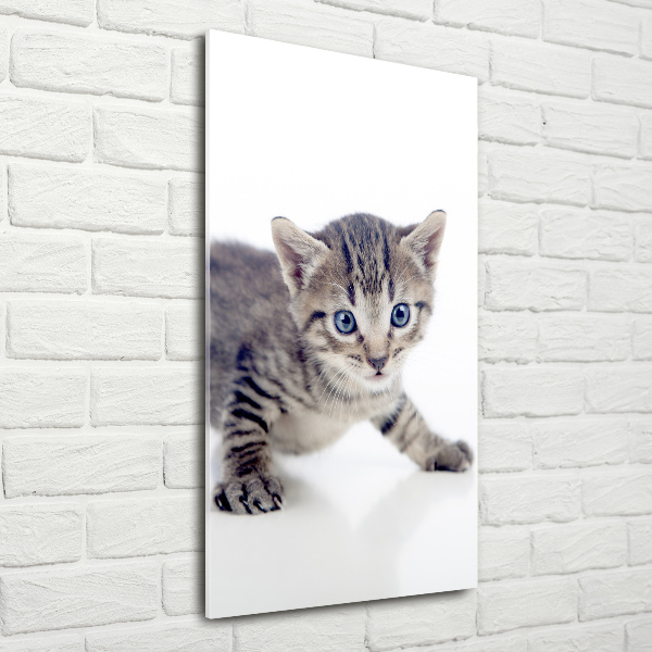 Glasbild vertikales Kleine Katze