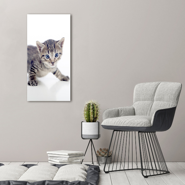 Glasbild vertikales Kleine Katze