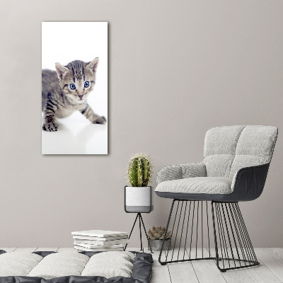 Glasbild vertikales Kleine Katze