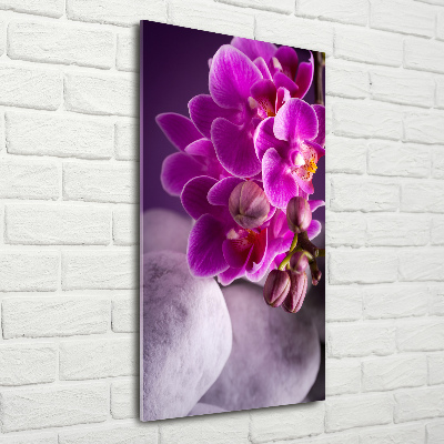 Foto auf glas vertikales Rosa Orchidee