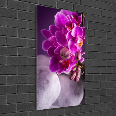 Foto auf glas vertikales Rosa Orchidee