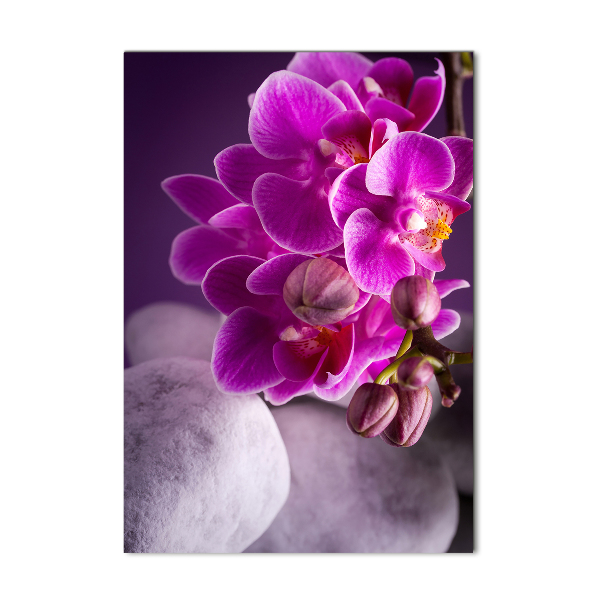 Foto auf glas vertikales Rosa Orchidee