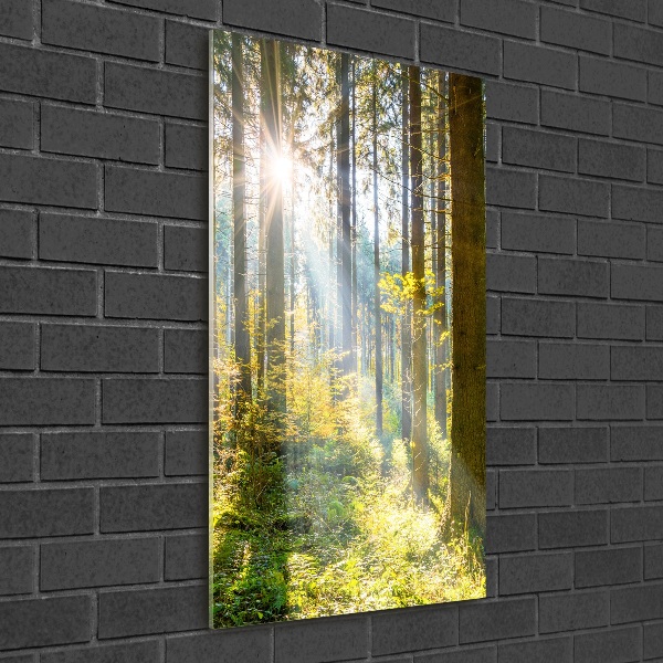 Glasbild vertikales Die Sonne im Wald