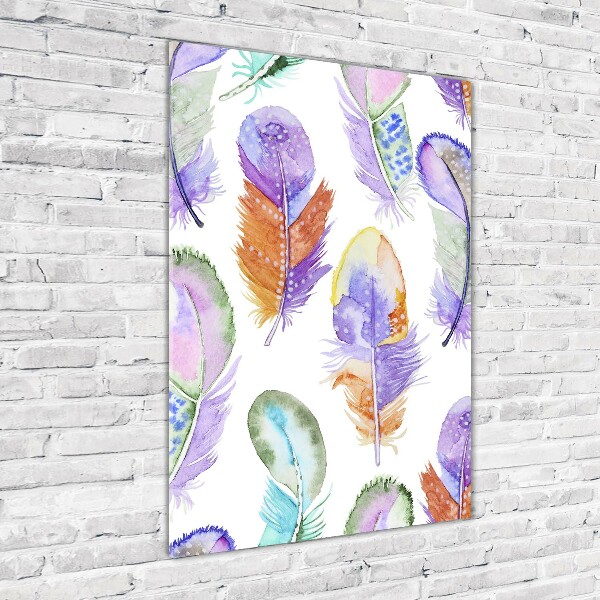 Bild aus glas vertikales Bunte Federn