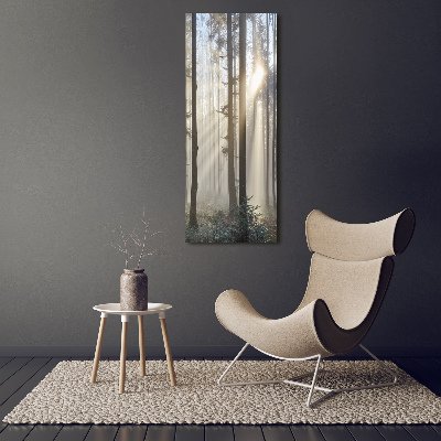Bild aus glas vertikales Nebel im Wald