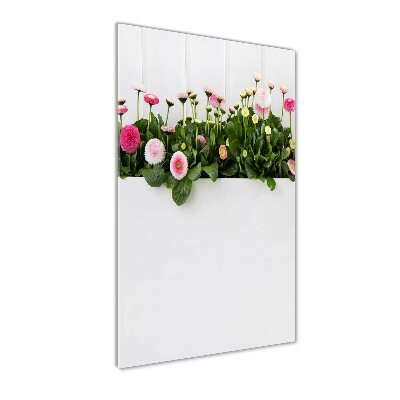 Glasbild vertikales Rosa Gänseblümchen